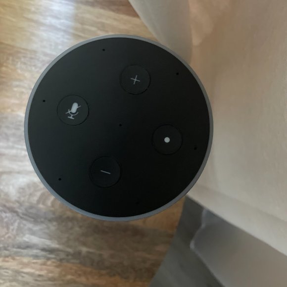 SOLD The Echo - Picture 2 of 6